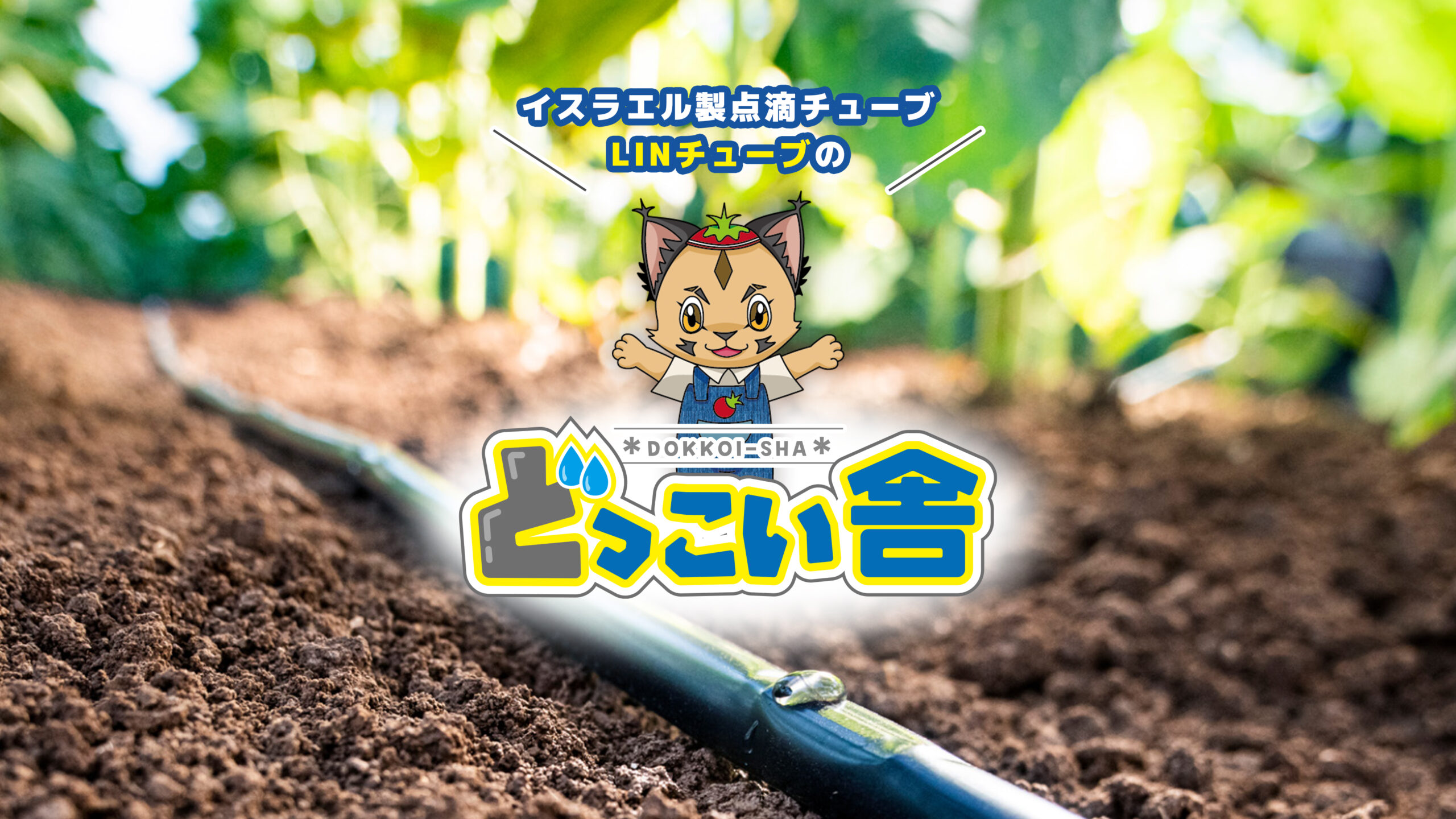 ヘッダA